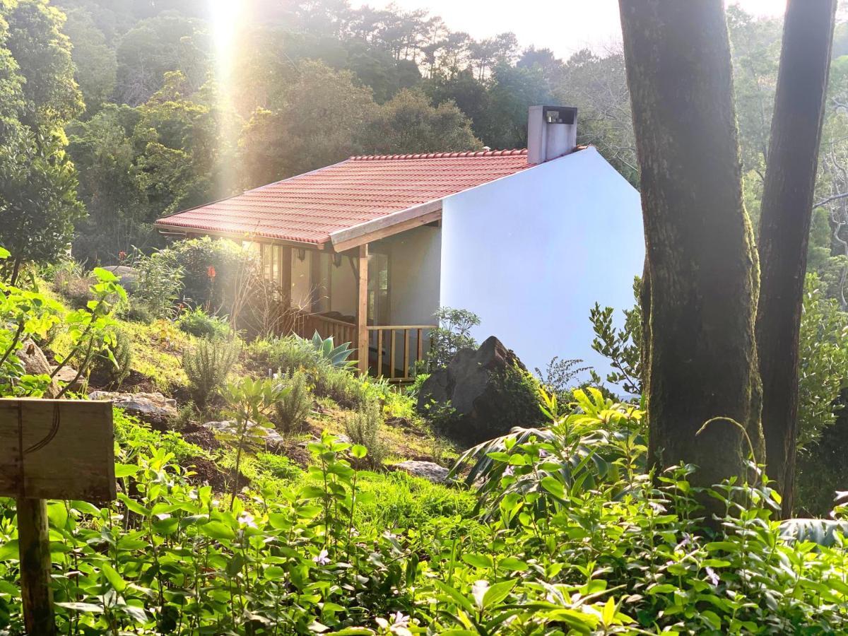 Eighteen21 Houses - Secluded Charm Cottage In Quinta Velha Sintra Exteriör bild