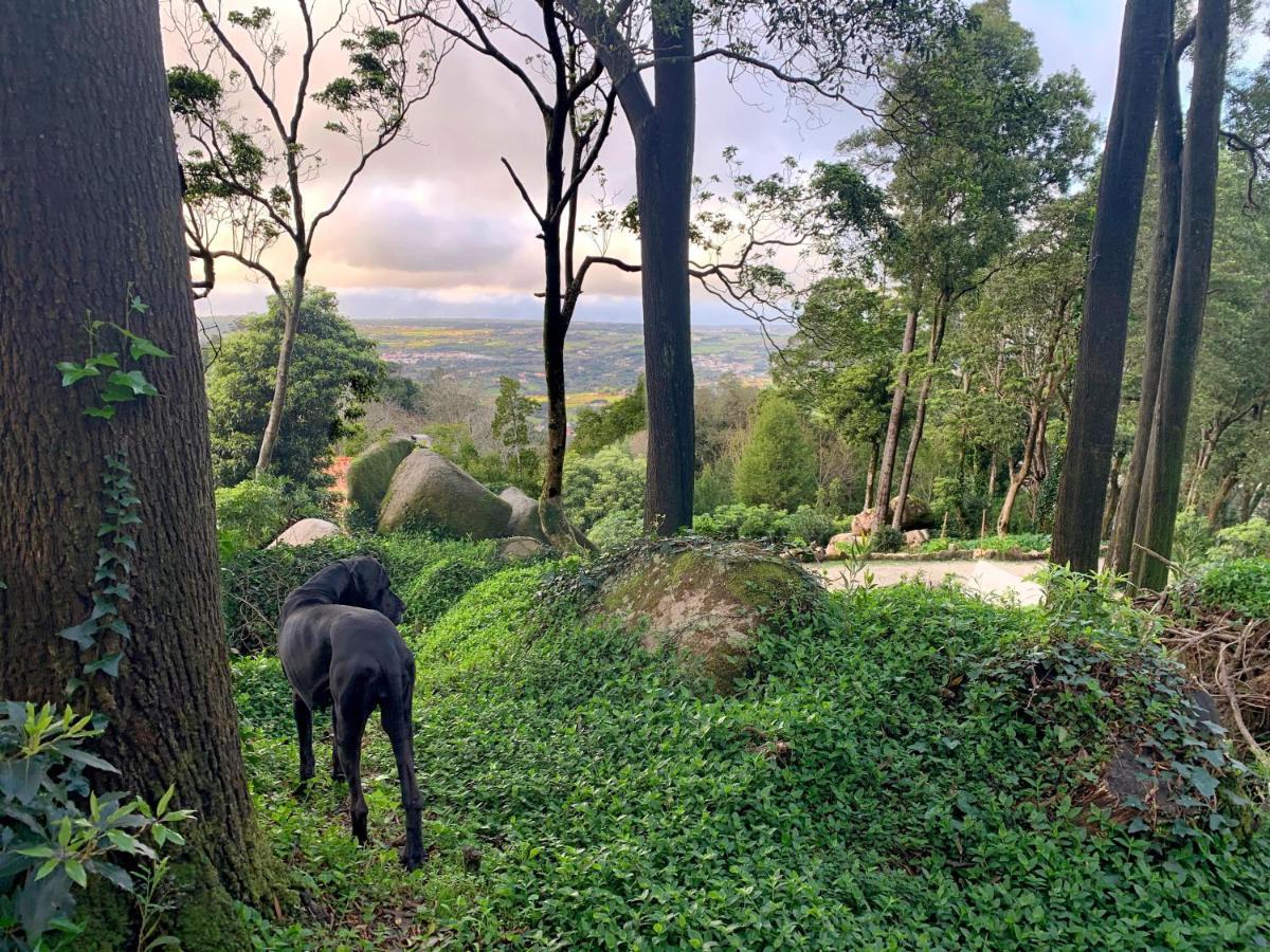 Eighteen21 Houses - Secluded Charm Cottage In Quinta Velha Sintra Exteriör bild